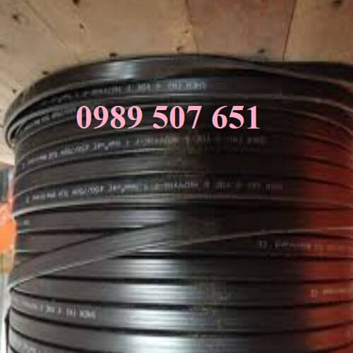 cap-det-cau-truc-gia-re cap-det-cau-truc-gia-re