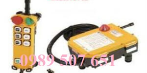 dieu-kihen-tu-xa-cau-truc-f24-6d dieu-kihen-tu-xa-cau-truc-f24-6d