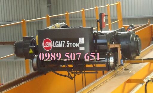 Palang cầu trục Palang cầu trục