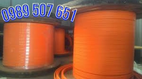 ray-dien-cau-truc-3p-50a ray-dien-cau-truc-3p-50a