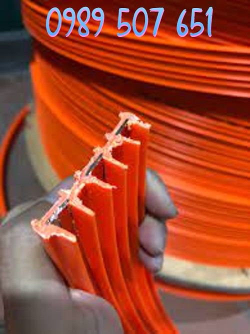 ray-dien-cau-truc-3p-50a ray-dien-cau-truc-3p-50a