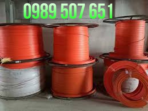 ray-dien-cau-truc-3p-50a ray-dien-cau-truc-3p-50a