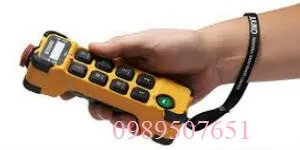 Điều khiển từ xa cầu trục là gì?