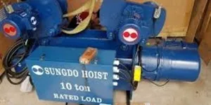Palang cầu trục Sungdo là gì?