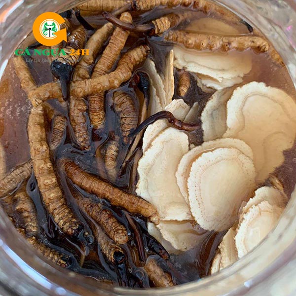 Đông Trùng Hạ Thảo ngâm mật ong Đông Trùng Hạ Thảo ngâm mật ong