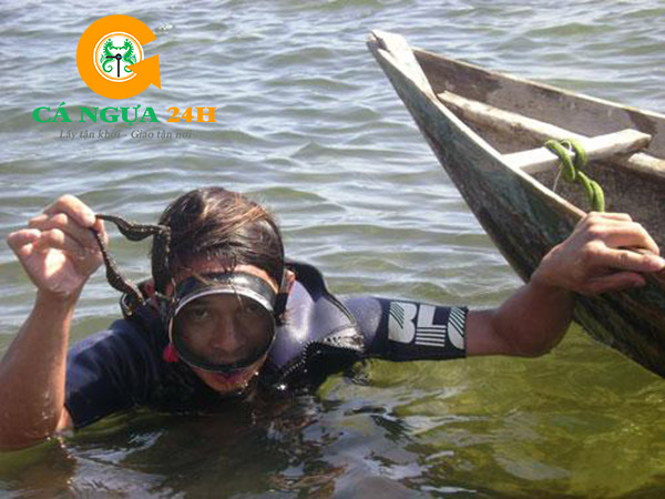 Ngư Dân Đánh Bắt Cá Ngựa Sống Ở Biển Ngư Dân Đánh Bắt Cá Ngựa Sống Ở Biển