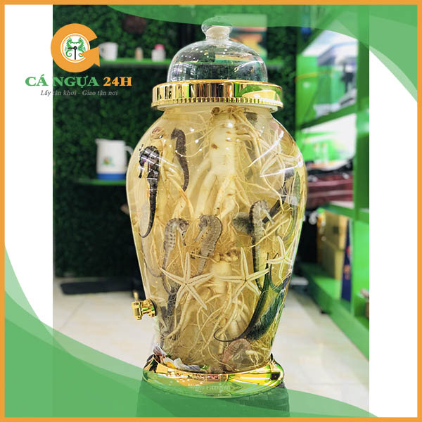 Bình Rượu Ngâm Sẵn Tại Shop - 04 Bình Rượu Ngâm Sẵn Tại Shop - 04