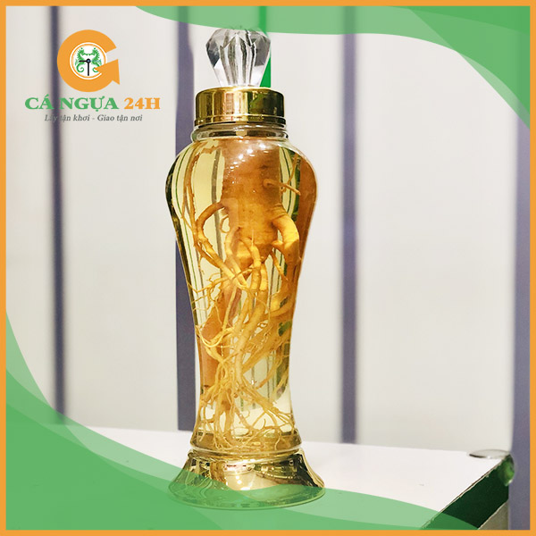 Bình Nhân Sâm Hàn Quốc Ấn Tượng Đẹp Mắt Bình Nhân Sâm Hàn Quốc Ấn Tượng Đẹp Mắt