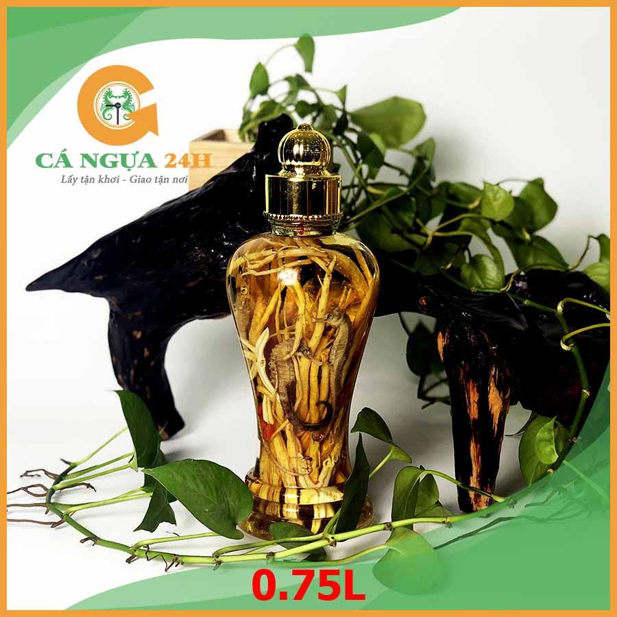 Bình rượu cá ngựa ngâm sẵn 0,75 lít Bình rượu cá ngựa ngâm sẵn 0,75 lít