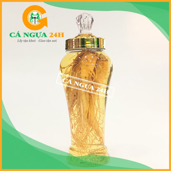 Rượu nhân sâm Hàn Quốc