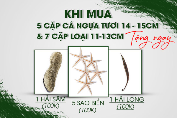 quà tặng khi mua cá ngựa cá ngựa tươi cá ngựa 24h quà tặng khi mua cá ngựa cá ngựa tươi cá ngựa 24h