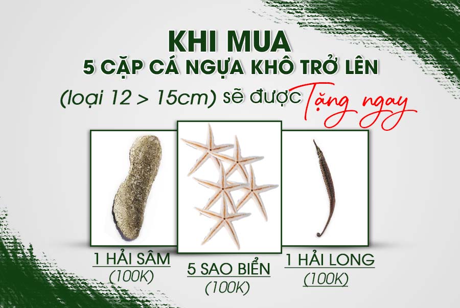 quà tặng khi mua cá ngựa khô tại cá ngựa 24h quà tặng khi mua cá ngựa khô tại cá ngựa 24h
