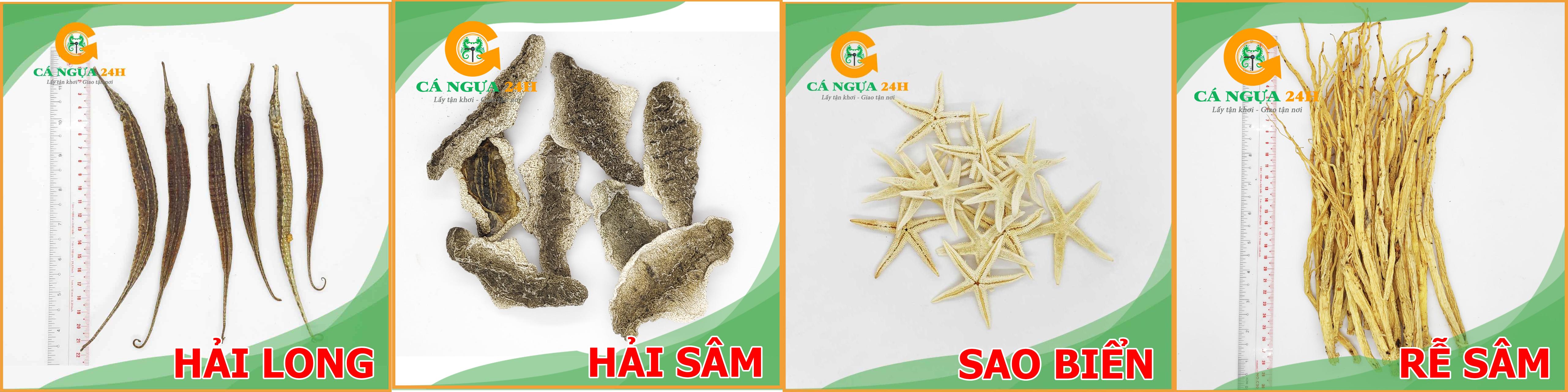 Những nguyên liệu quý giá được tại tặng kèm khi mua cá ngựa sống tại Cá Ngựa 24H Những nguyên liệu quý giá được tại tặng kèm khi mua cá ngựa sống tại Cá Ngựa 24H