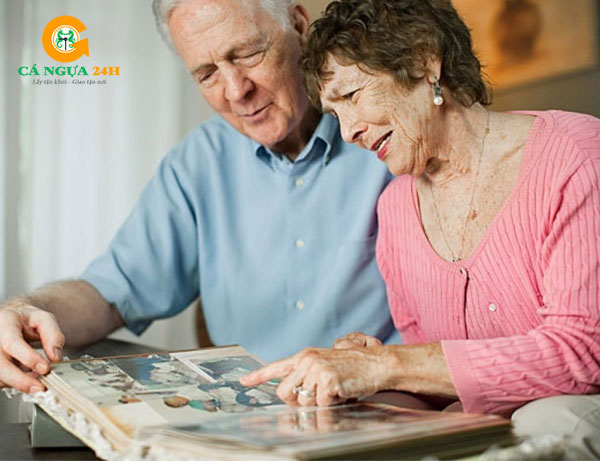 Tác dụng của cá ngựa giúp kéo dài tuổi thọ Tác dụng của cá ngựa giúp kéo dài tuổi thọ