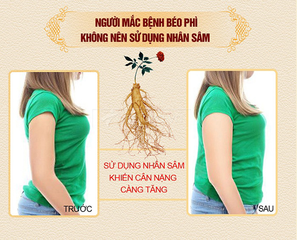 Béo phì không nên sử dụng nhân sâm Béo phì không nên sử dụng nhân sâm