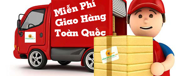 Cá Ngựa 24H giao hàng toàn quốc Cá Ngựa 24H giao hàng toàn quốc