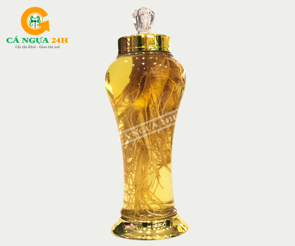 Rượu Nhân Sâm Hàn Quốc 3 lít, 3 Củ Nhân Sâm Tươi Rượu Nhân Sâm Hàn Quốc 3 lít, 3 Củ Nhân Sâm Tươi