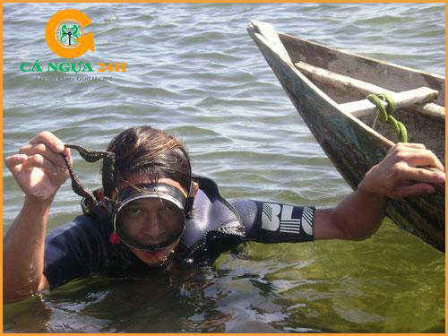 Cư dân đánh bắt Cá ngựa đại dương