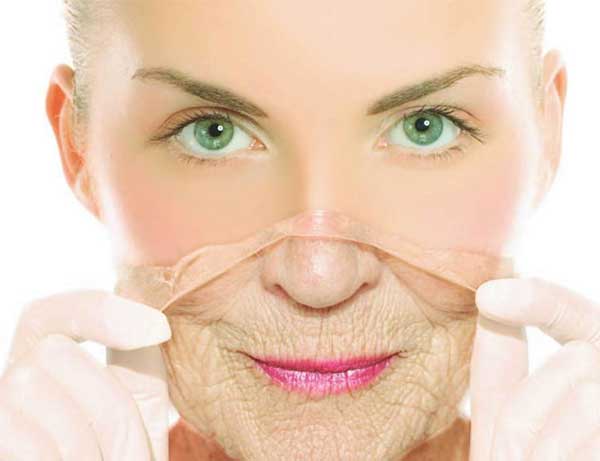 Rượu sâm Hàn Quốc làm chậm quá trình lão hóa da và kéo dài tuổi thọ Rượu sâm Hàn Quốc làm chậm quá trình lão hóa da và kéo dài tuổi thọ