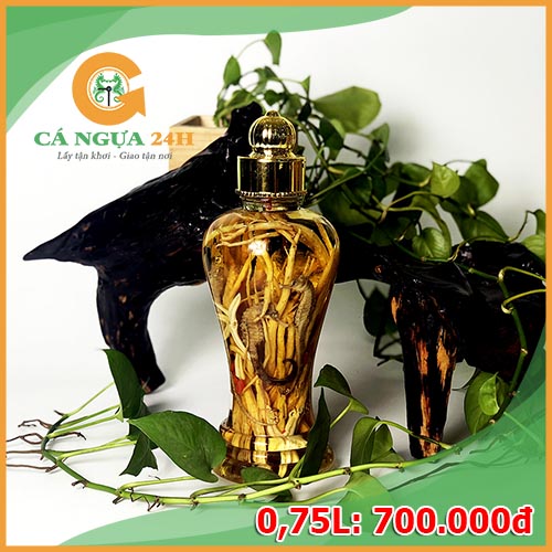 Bình Rượu Cá Ngựa 0,75 Lít Có Sẳn Tại Cửa Hàng Bình Rượu Cá Ngựa 0,75 Lít Có Sẳn Tại Cửa Hàng