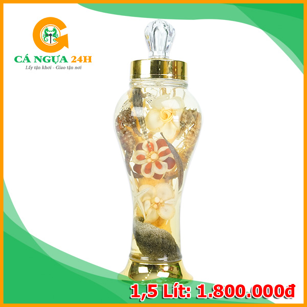 Mẫu Bình Rượu Cá Ngựa Hoa Sâm Mẫu Bình Rượu Cá Ngựa Hoa Sâm