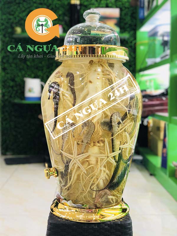 Bình Rượu Cá Ngựa Nhân Sâm 30 Lít Bình Rượu Cá Ngựa Nhân Sâm 30 Lít