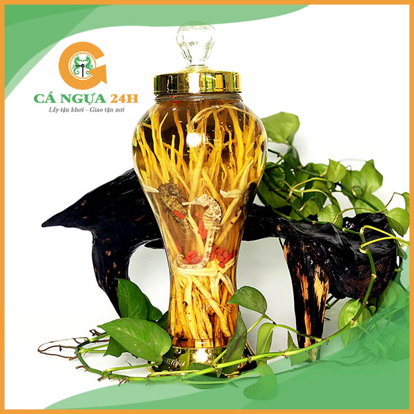 Bình Rượu Cá Ngựa 2 Lít Ngâm Sẳn Tại Cửa Hàng Bình Rượu Cá Ngựa 2 Lít Ngâm Sẳn Tại Cửa Hàng