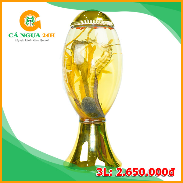 Bình Rượu Cá Ngựa Chúa Ngâm Sẵn 3 Lít Bình Rượu Cá Ngựa Chúa Ngâm Sẵn 3 Lít