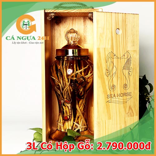 Bình Rượu Ngâm Sẵn 3 Lít Có Hộp Gỗ Bình Rượu Ngâm Sẵn 3 Lít Có Hộp Gỗ