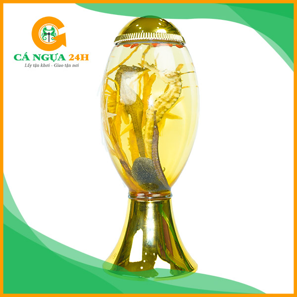 Bình Rượu Cá Ngựa Chúa Đại Dương 3 Lít - 01 Bình Rượu Cá Ngựa Chúa Đại Dương 3 Lít - 01