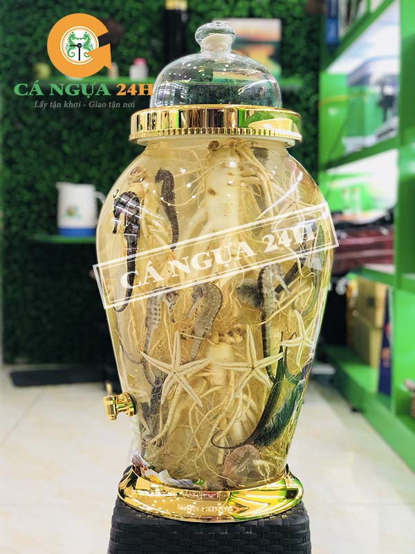 Rượu Cá Ngựa Ngâm Với Nhân Sâm Rượu Cá Ngựa Ngâm Với Nhân Sâm