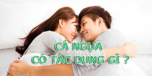 Cá Ngựa Có Tác Dụng Gì? Cá Ngựa Ngâm Riệu Có Tác Dụng Gì? -Cá Ngựa 24h