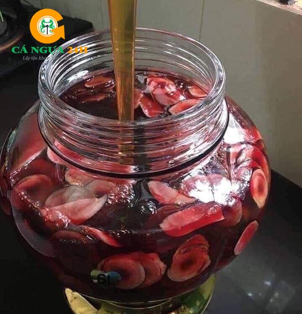 Nhung hươu tươi thái lát ngâm mật ong Nhung hươu tươi thái lát ngâm mật ong