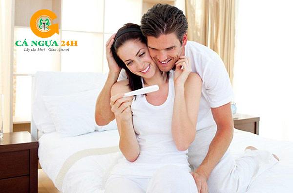 Rượu cá ngựa có tác dụng trị vô sinh, hiếm muộn Rượu cá ngựa có tác dụng trị vô sinh, hiếm muộn