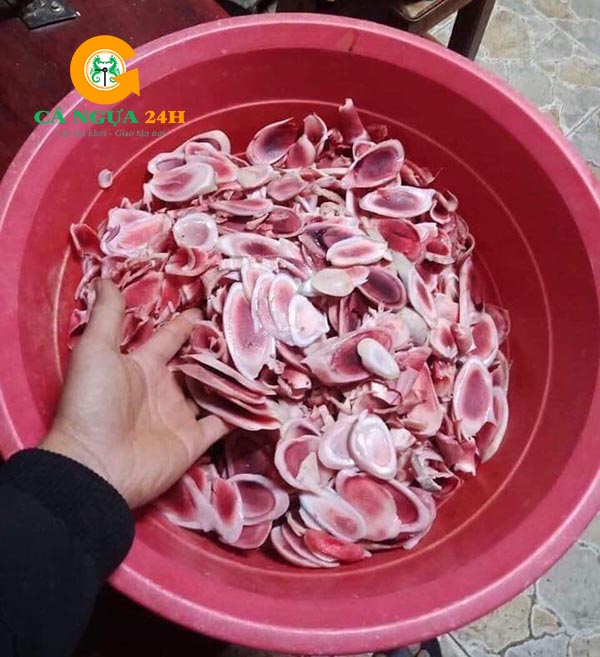 Nhung hươu tươi Hương Sơn thái lát Nhung hươu tươi Hương Sơn thái lát
