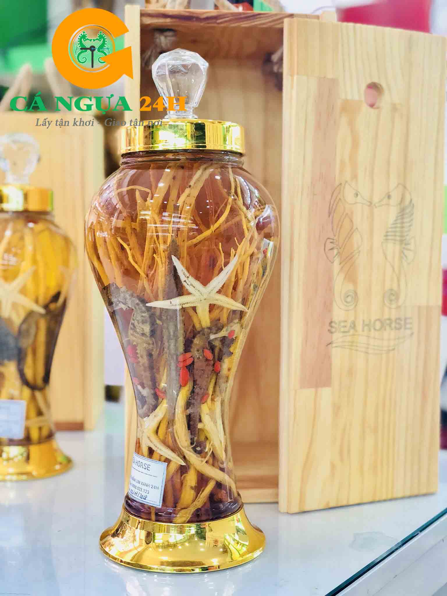 Bình Cá ngựa tươi ngâm rượu với Hải sâm, hải long, sao biển, rễ sâm (đảng sâm)_02 Bình Cá ngựa tươi ngâm rượu với Hải sâm, hải long, sao biển, rễ sâm (đảng sâm)_02