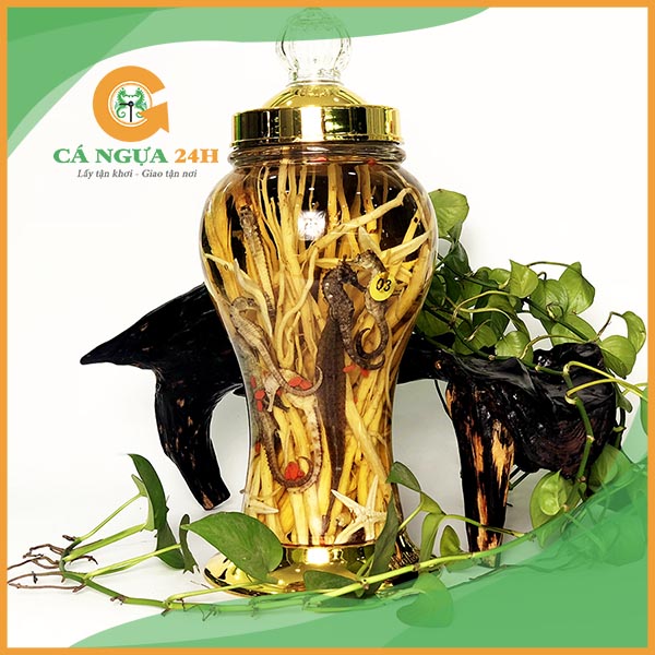 Bình Rượu Cá Ngựa 3 Lít - 01 Bình Rượu Cá Ngựa 3 Lít - 01