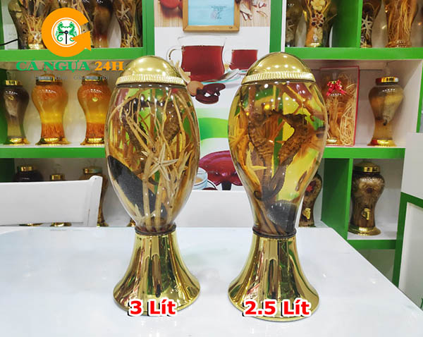 Bình rượu cá ngựa ngâm sẵn - 01 Bình rượu cá ngựa ngâm sẵn - 01