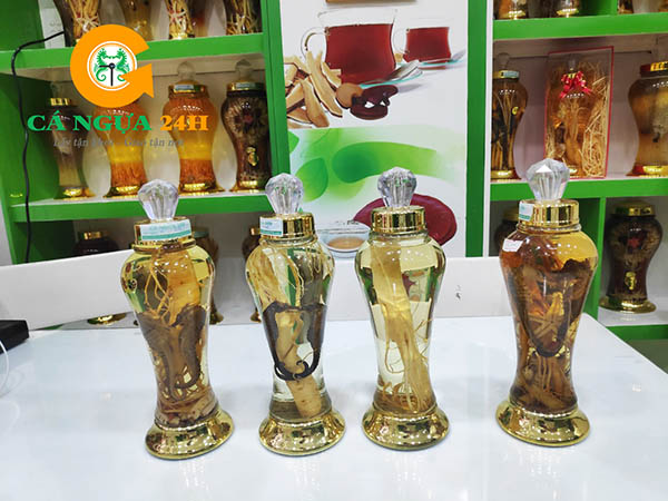 Bình rượu cá ngựa ngâm sẵn - 03 Bình rượu cá ngựa ngâm sẵn - 03