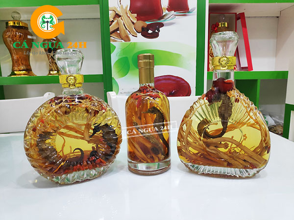 Các Mẫu Bình Rượu Cá Ngựa 0.5 Lít Các Mẫu Bình Rượu Cá Ngựa 0.5 Lít