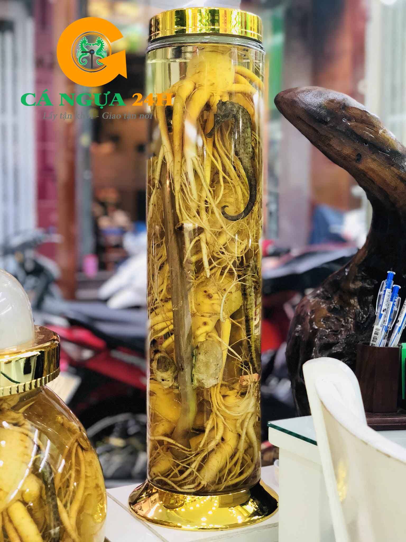 Bình rượu Cá Ngựa Với Nhân Sâm Tại Cá Ngựa 24H_01 Bình rượu Cá Ngựa Với Nhân Sâm Tại Cá Ngựa 24H_01