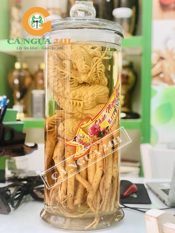 Bình Rượu Đinh Lăng, Quà Tân Gia Ý Nghĩa Bình Rượu Đinh Lăng, Quà Tân Gia Ý Nghĩa