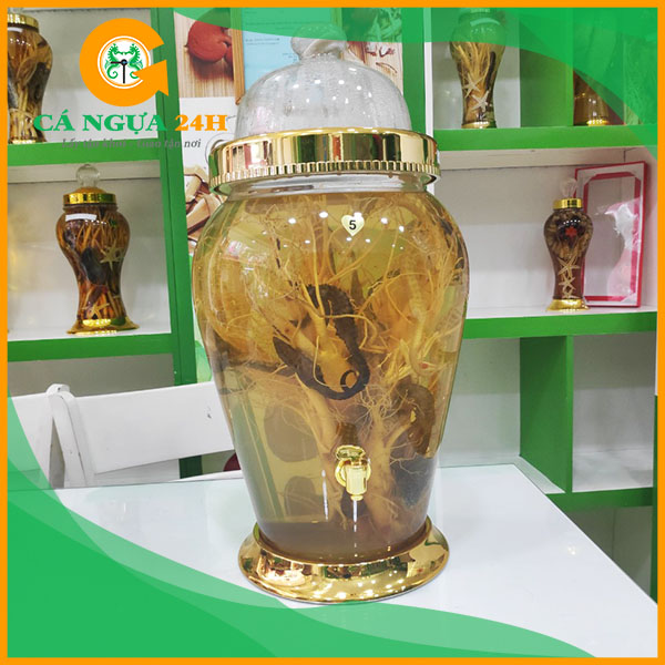 Bình Rượu Nhân Sâm Cá Ngựa Chúa 18 Lít Bình Rượu Nhân Sâm Cá Ngựa Chúa 18 Lít