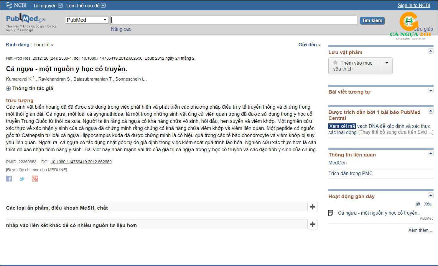 cá ngựa trị hen suyễn cá ngựa trị hen suyễn