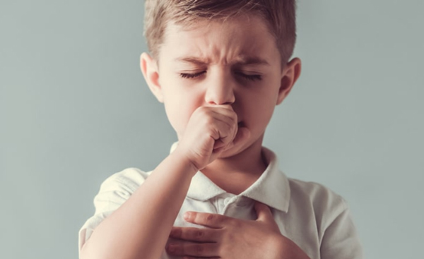 Cá ngựa trị ho hen suyễn cho trẻ em Cá ngựa trị ho hen suyễn cho trẻ em