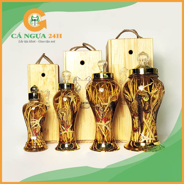 Bình rượu cá ngựa ngâm sẵn tại shop Bình rượu cá ngựa ngâm sẵn tại shop