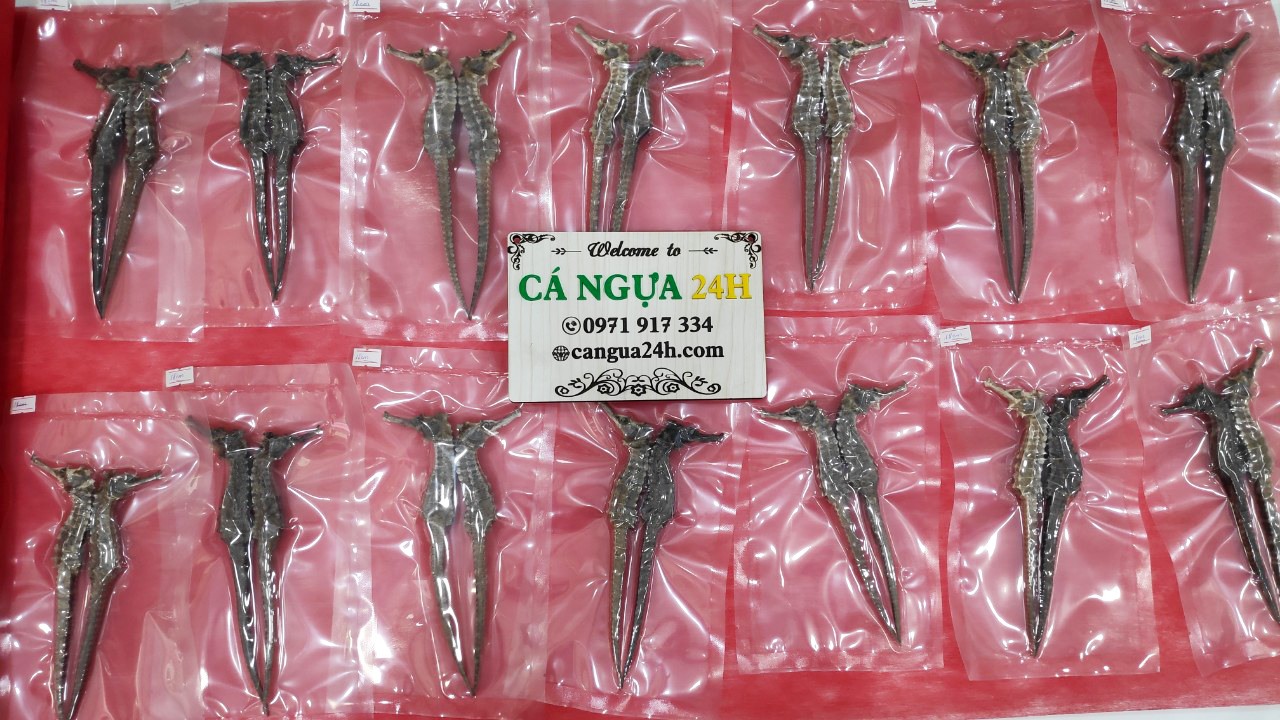 cá ngựa khô chuẩn bị giao cho khách tại đồng nai cá ngựa khô chuẩn bị giao cho khách tại đồng nai