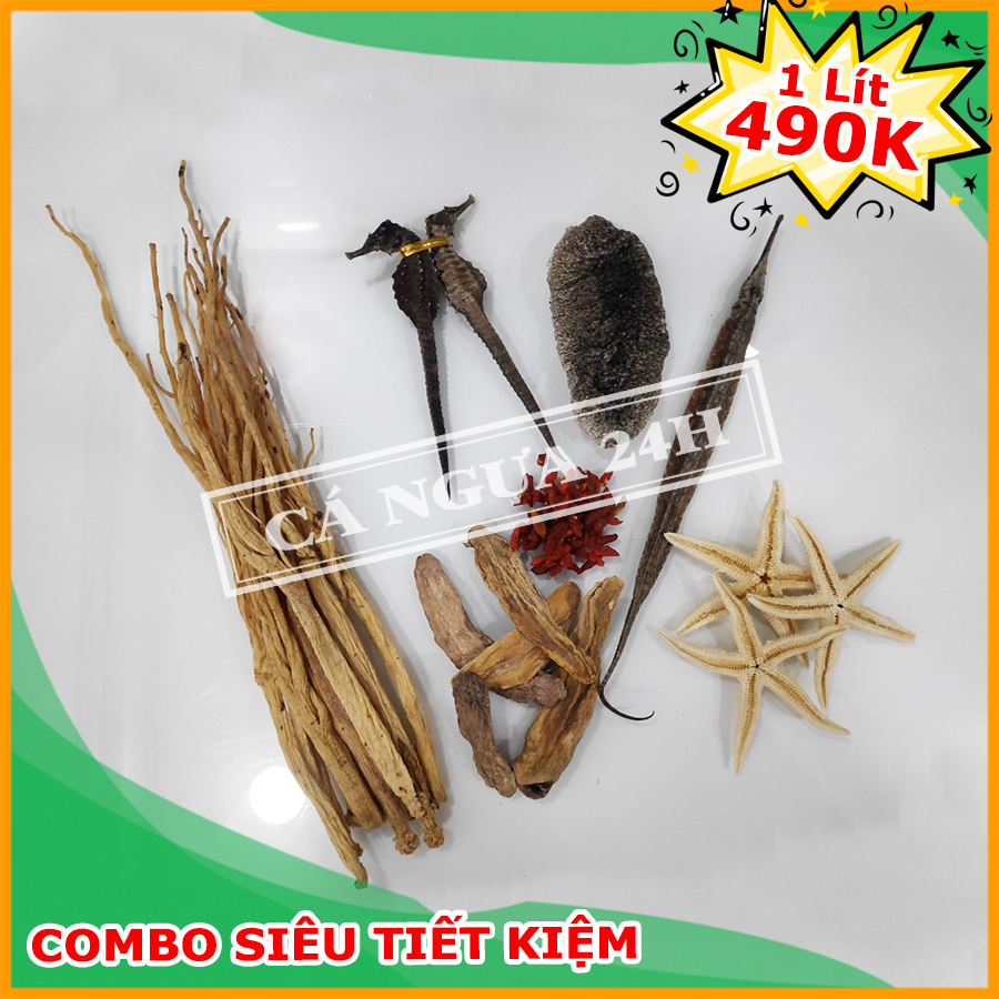 Combo Ngâm Rượu Cá Ngựa Siêu Tiết Kiệm 1 Lít Combo Ngâm Rượu Cá Ngựa Siêu Tiết Kiệm 1 Lít