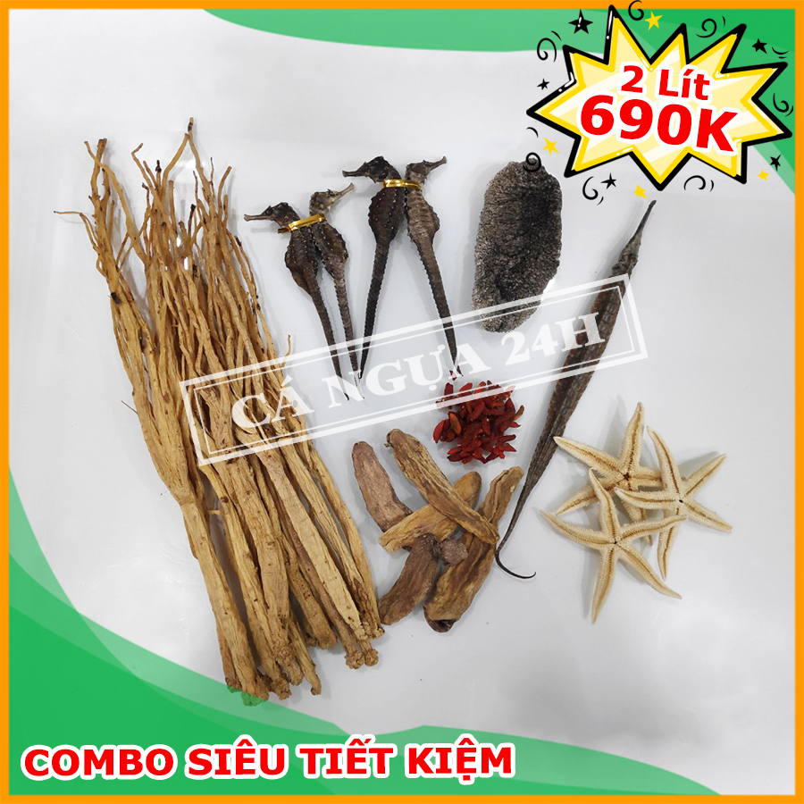 Combo Ngâm Rượu Cá Ngựa Siêu Tiết Kiệm 2 Lít Combo Ngâm Rượu Cá Ngựa Siêu Tiết Kiệm 2 Lít