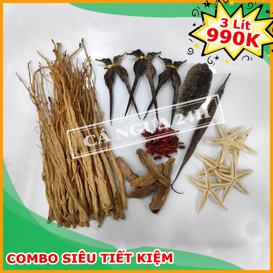 Combo Ngâm Rượu Cá Ngựa Siêu Tiết Kiệm 2 Lít Combo Ngâm Rượu Cá Ngựa Siêu Tiết Kiệm 2 Lít